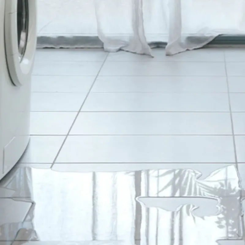 Appliance Leak Cleanup in Glouster, OH