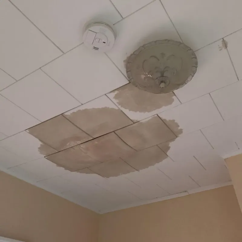 Ceiling Water Damage Repair in Glouster, OH
