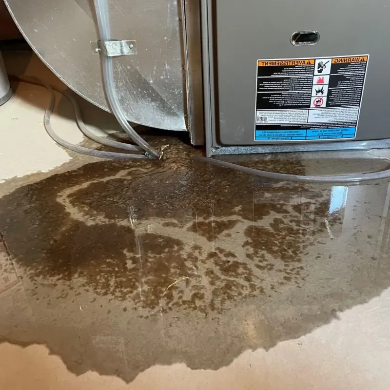 Pipe Burst and Leak Restoration in Glouster, OH